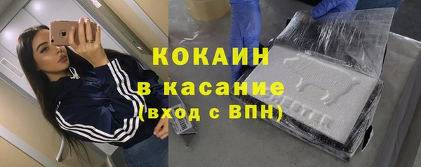 прущие грибы Дмитриев