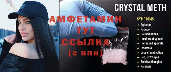 прущие грибы Дмитриев