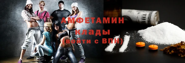 прущие грибы Дмитриев
