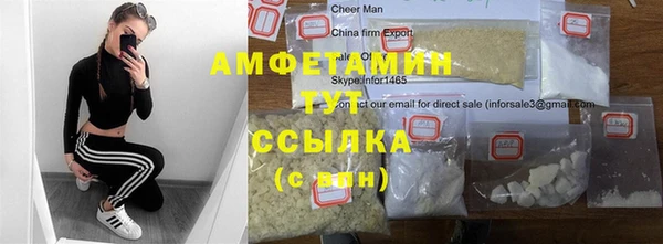 прущие грибы Дмитриев