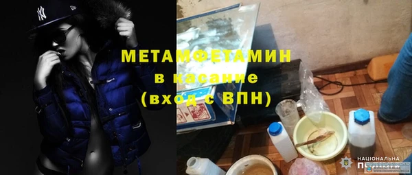прущие грибы Дмитриев