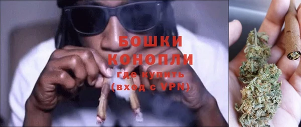 прущие грибы Дмитриев