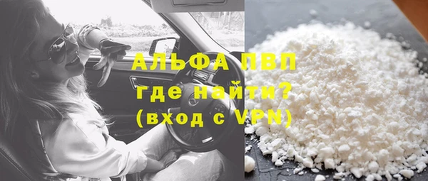 прущие грибы Дмитриев