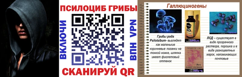 Купить где  Чернушка  Галлюциногенные грибы GOLDEN TEACHER 